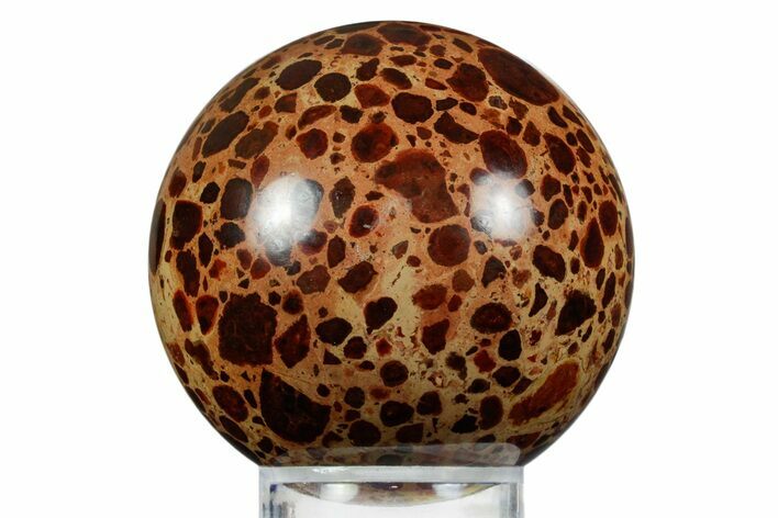 Polished Bauxite (Aluminum Ore) Sphere - Russia #354232